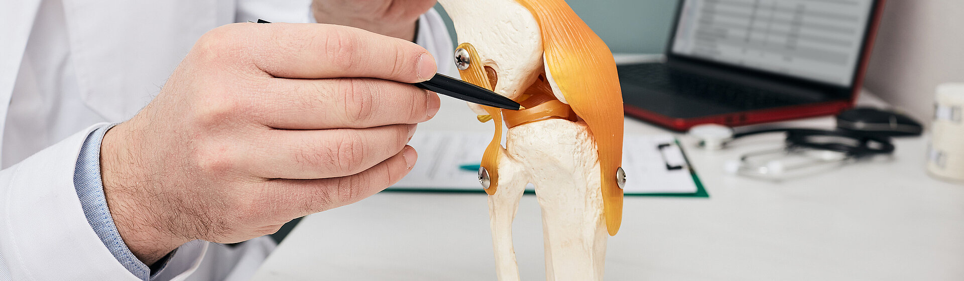 Meniscus_knee_cartilage_damage_sports_injuries_sports_traumatology_damage_wear_internal_meniscus_external_meniscus